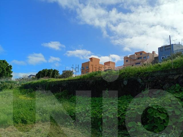 Terreno, Sauzal
