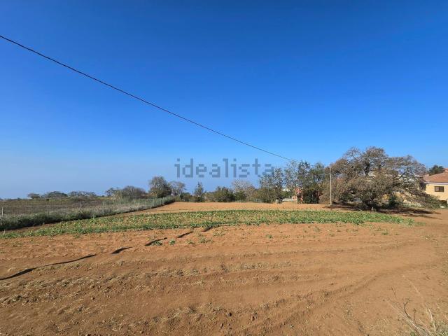 Terreno, Sauzal