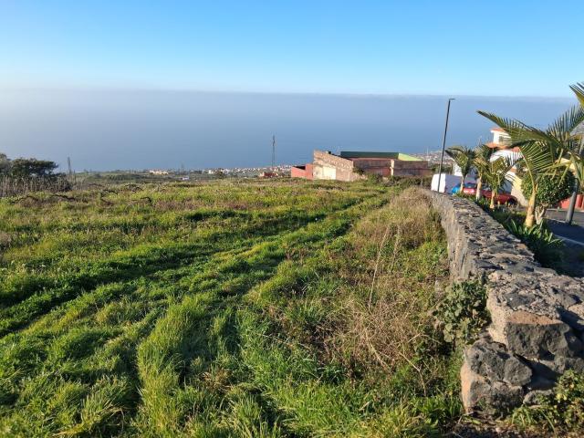 Terreno, Sauzal