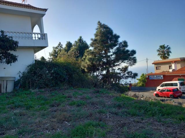 Terreno, Sauzal