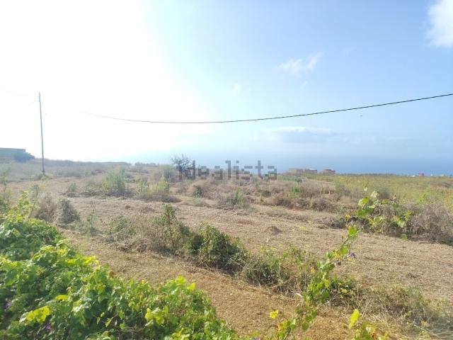 Terreno, Sauzal