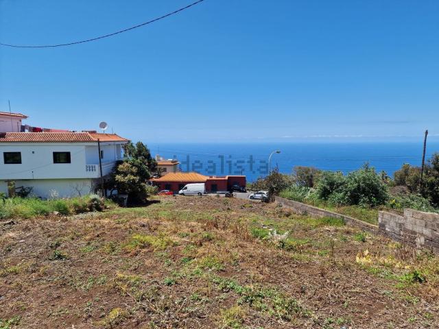 Terreno, Sauzal