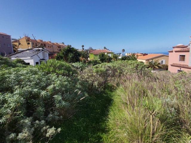 Terreno, Sauzal