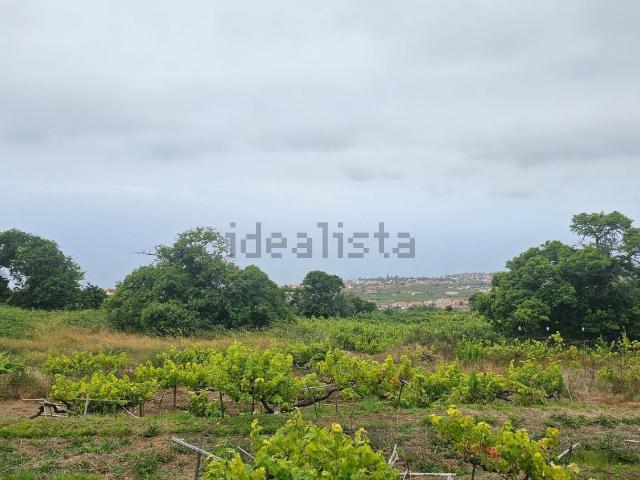 Terreno, Sauzal