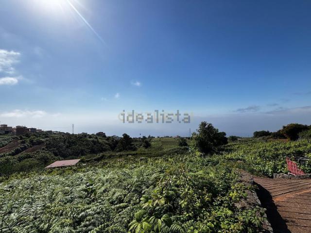 Terreno, Sauzal