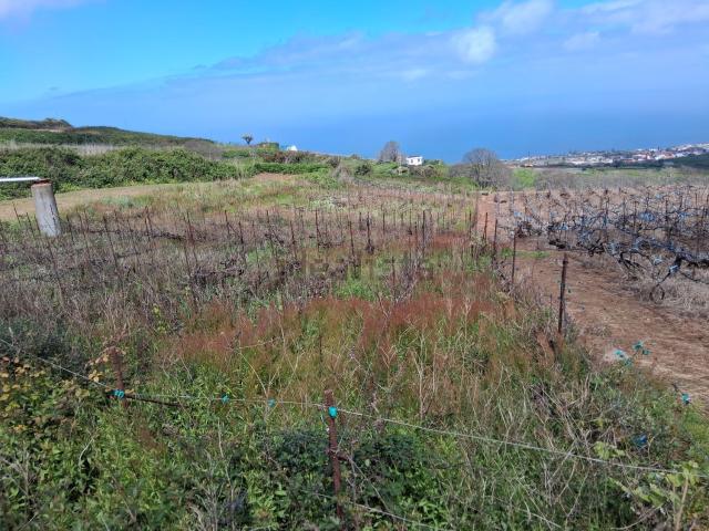 Terreno, Sauzal