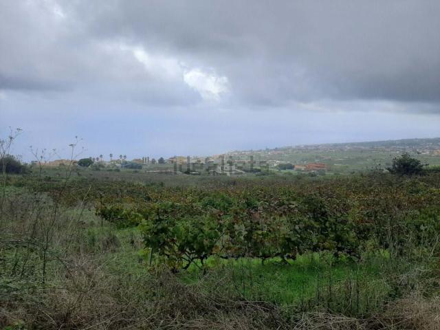 Terreno, Sauzal
