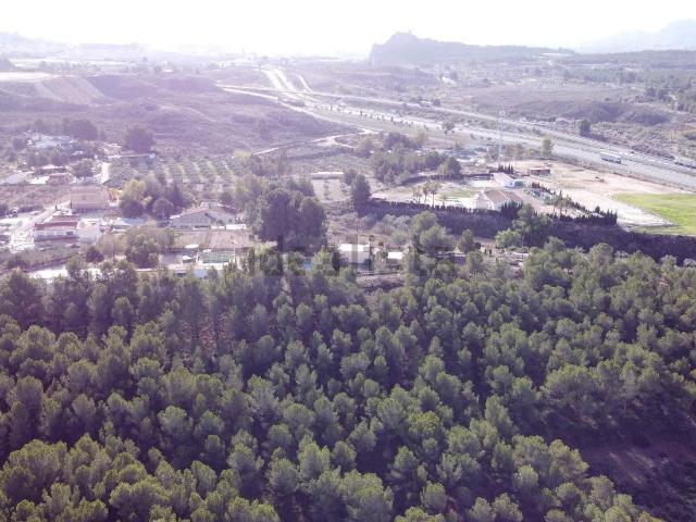 Terreno, Sax
