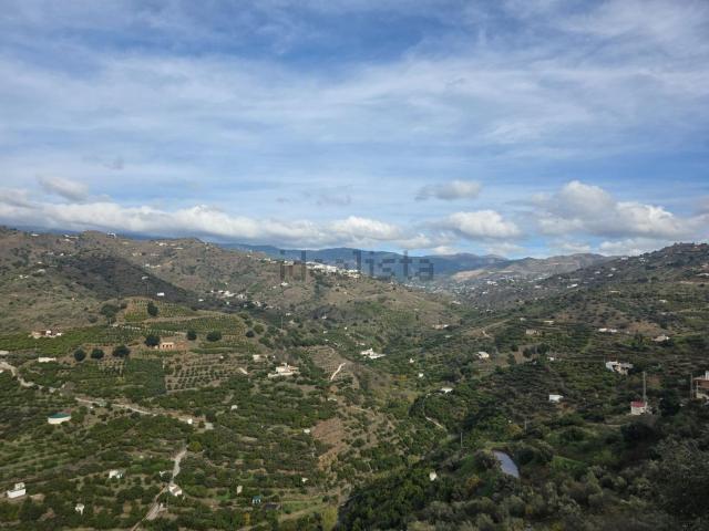 Terreno, Sayalonga