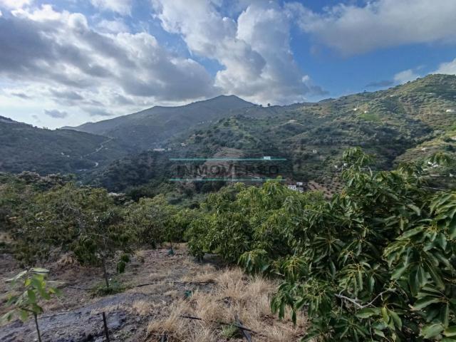 Terreno, Sayalonga