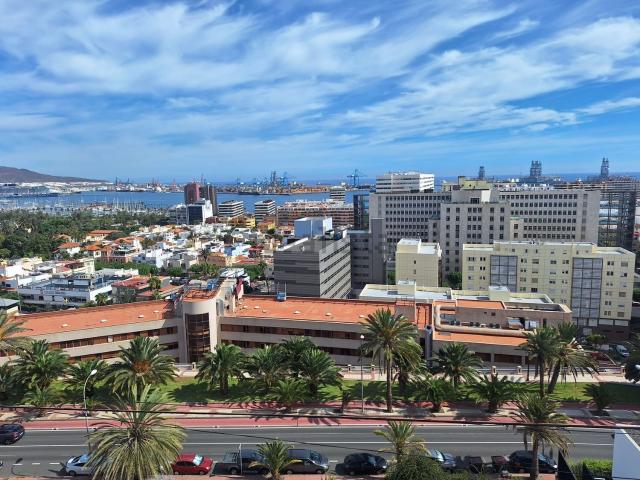 Terreno, Schamann Rehoyas, Las Palmas de Gran Canaria