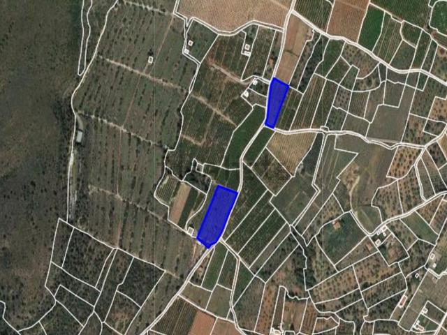 Terreno, Segorbe