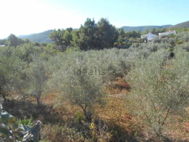 Terreno, Segorbe