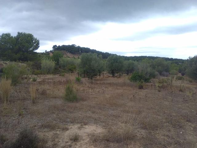 Terreno, Segorbe