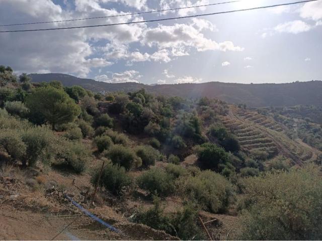 Terreno, Sedella