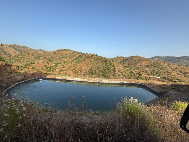 Terreno, Sedella