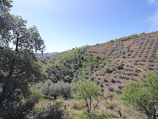 Terreno, Sedella