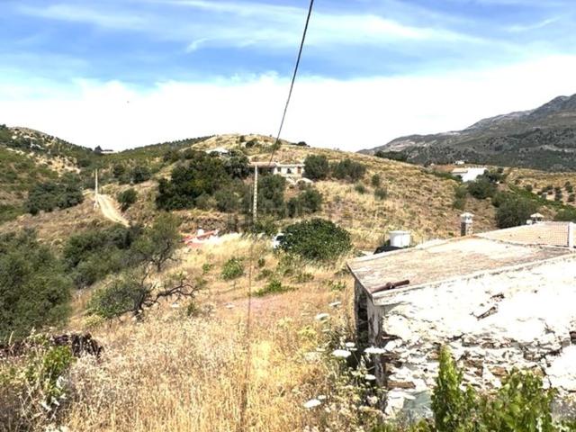 Terreno, Sedella