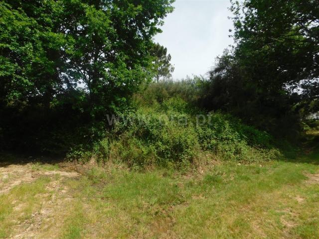Terreno / Seia, Sameice e Santa Eulália