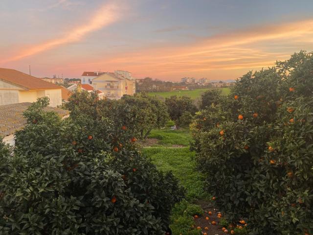 Terreno, Arrentela