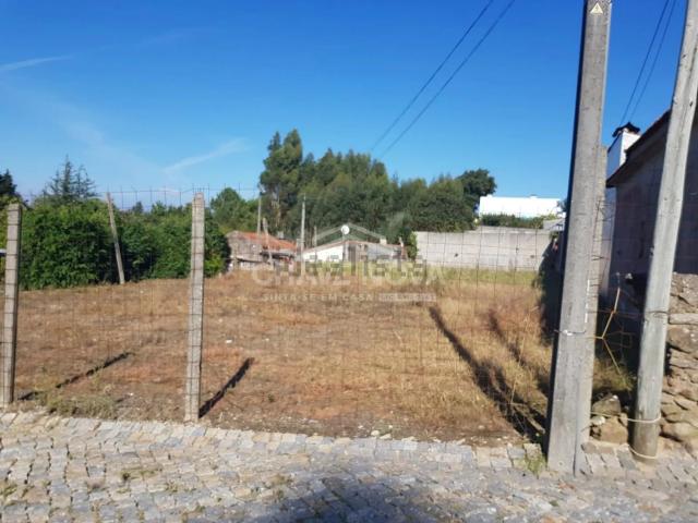 Terreno, Seixezelo