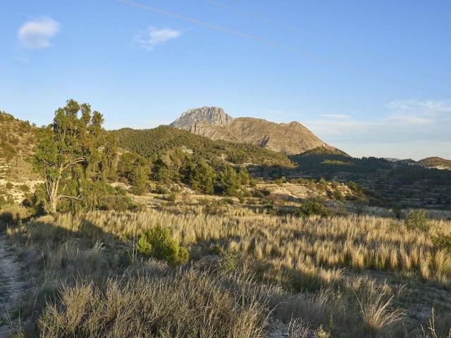 Terreno, Sella