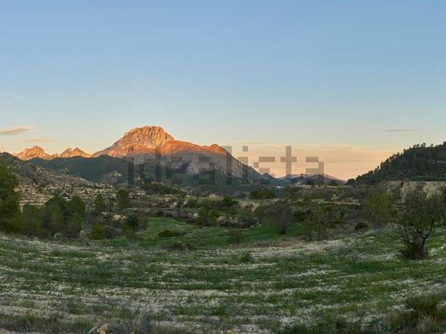 Terreno, Sella