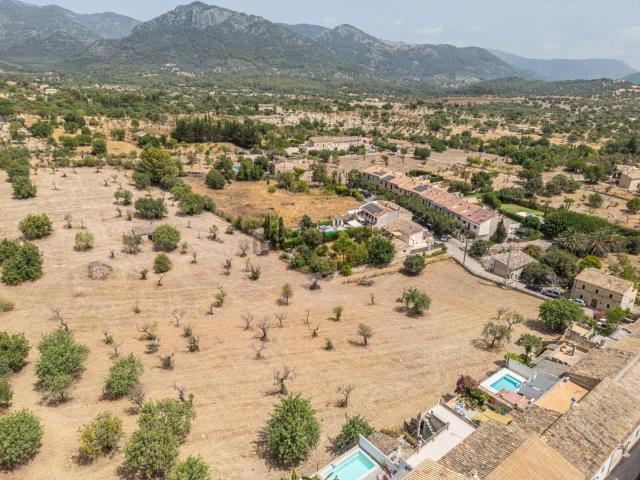 Terreno, Selva