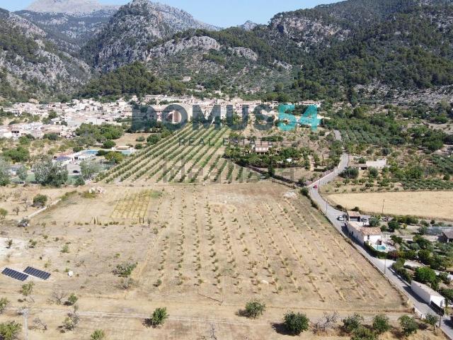 Terreno, Selva