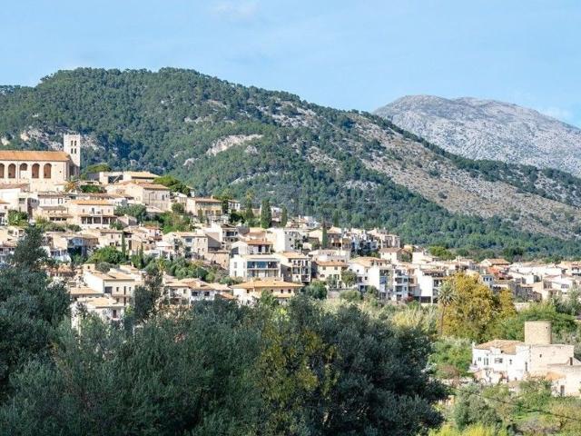 Terreno, Selva