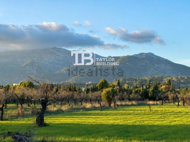 Terreno, Selva