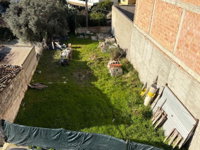 Terreno, Selva