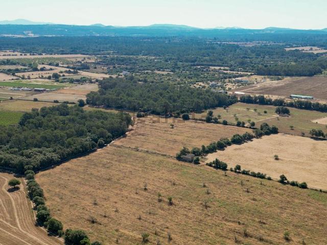 Terreno, Sencelles