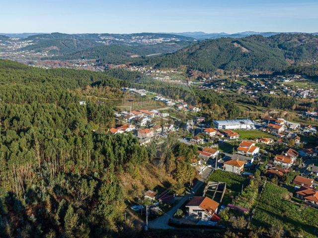 Terreno, Sendim