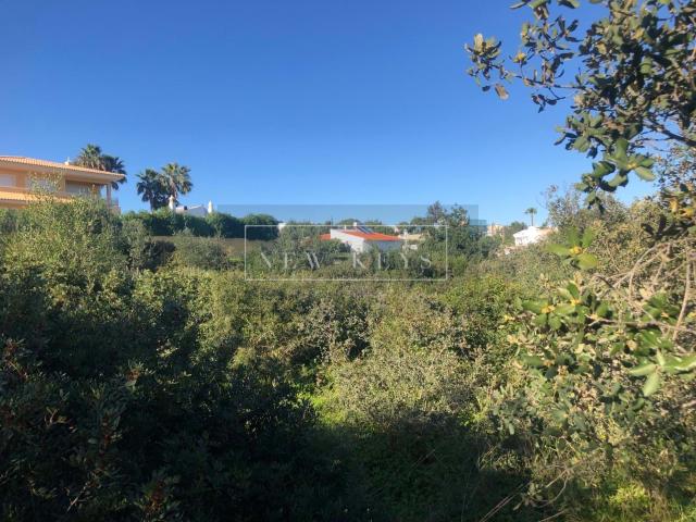 Terreno Senhora do Verde