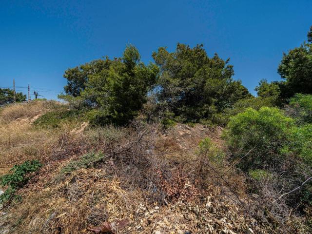 Terreno, Ses Cadenes Arenal, Palma de Mallorca