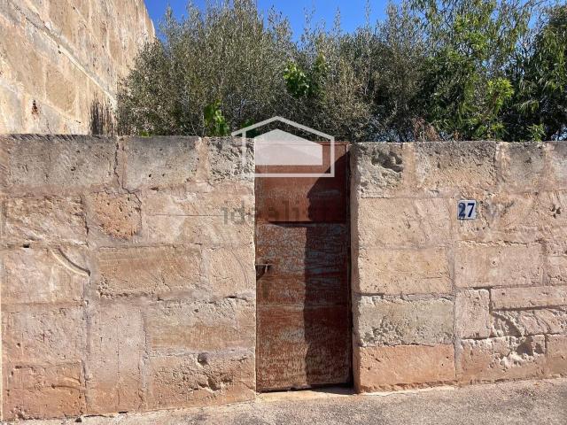 Terreno, Ses Salines Mallorca