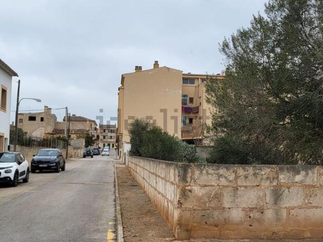Terreno, Ses Salines Mallorca
