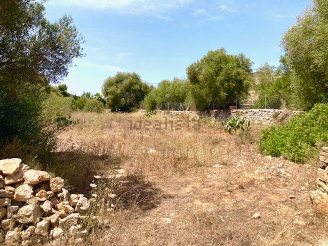 Terreno, Ses Salines Mallorca