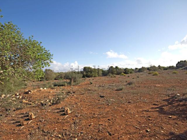 Terreno, Ses Salines Mallorca