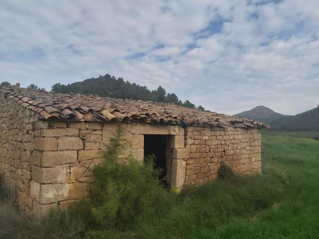 Terreno, Serós