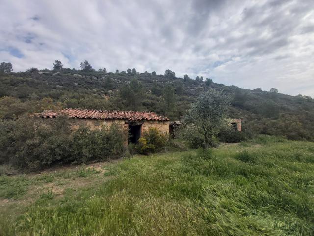 Terreno, Serós
