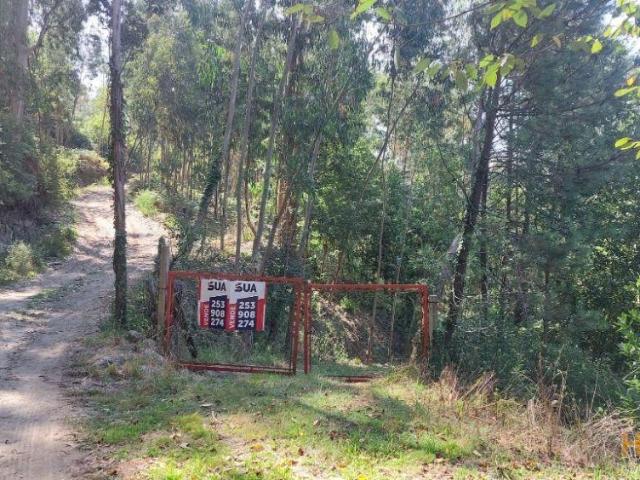 Terreno Seramil | 26063814976