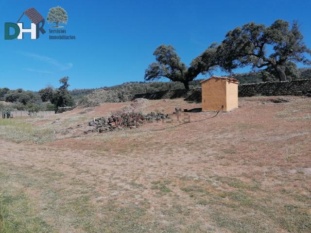 Terreno, Serradilla