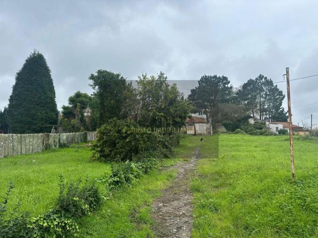 Terreno, Serzedo