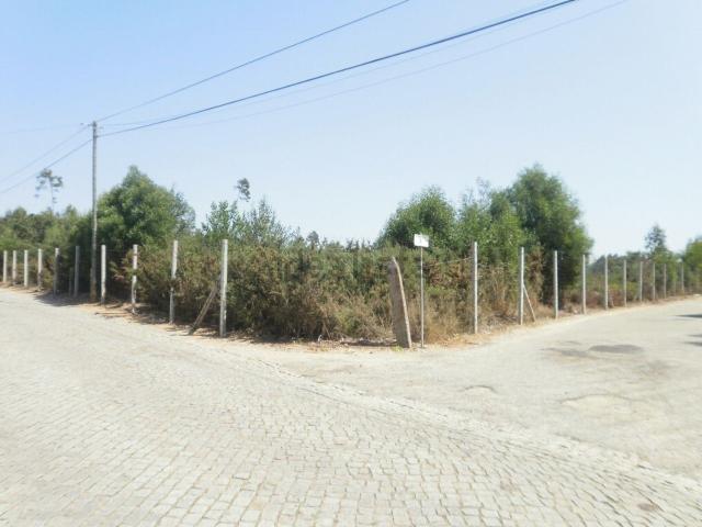 Terreno, Serzedo