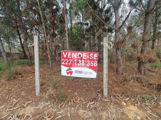 Terreno, Perosinho