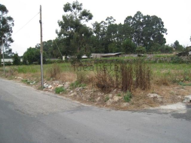 Terreno, Serzedo