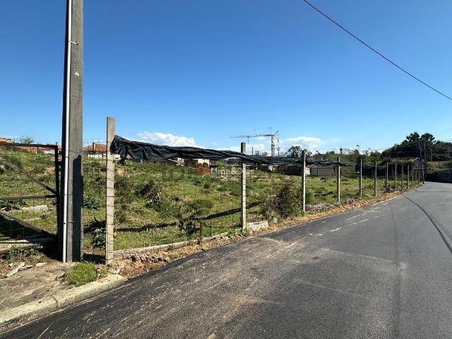 Terreno, Serzedo