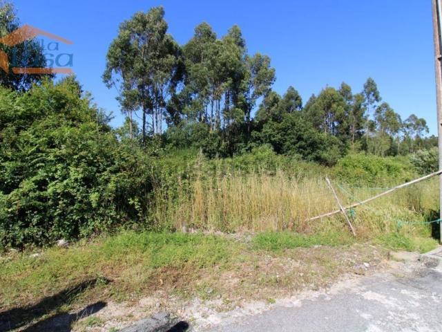 Terreno, Serzedo